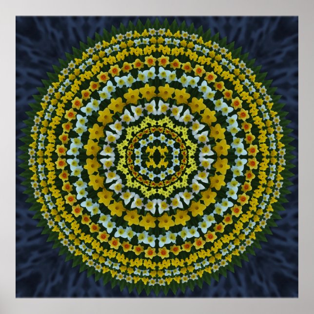 Daffodil Mandala Poster (Framsidan)