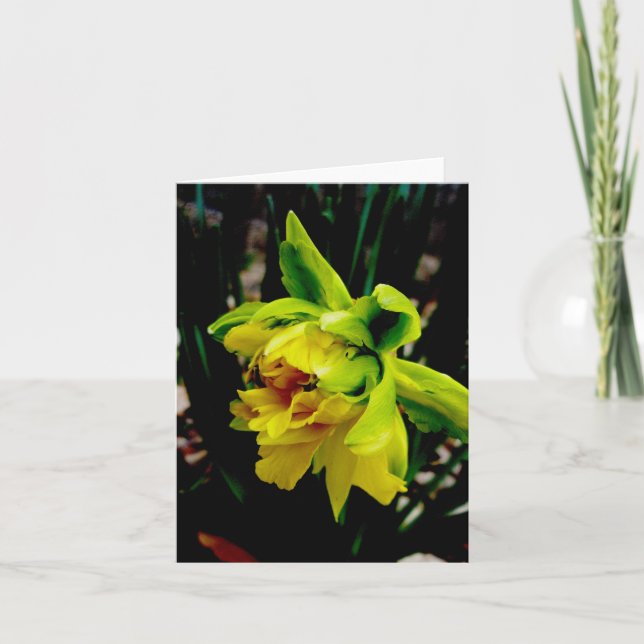 Daffodil Note Card Helgkort (Framsida)