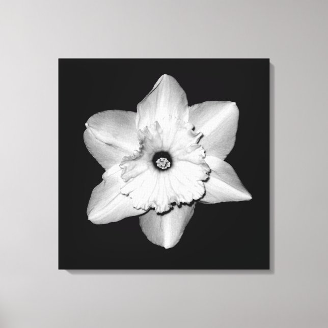 'Daffodil Portrait' Lindad Canvastryck (Framsida)