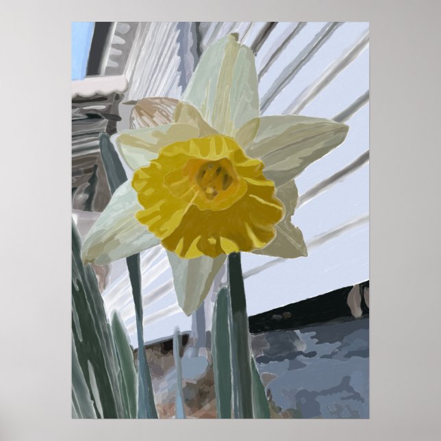 Daffodil Porträtt Poster (Framsidan)