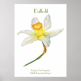 Daffodil Print, Value Poster Pappert (projektionsy
