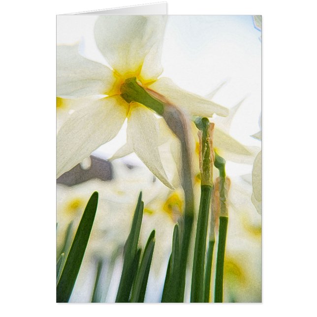 daffodil-publik hälsningskort (Framsidan)