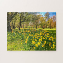 DAFFODIL PUSSEL