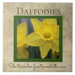 Daffodil Quote Vår Flower Kakelplatta