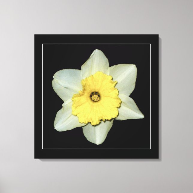'Daffodil-serien, Bild 3' Insvept Canvastryck (Framsida)