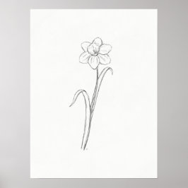 Daffodil Sketch Skriv ut Poster