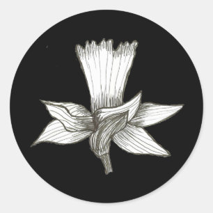 Daffodil Sticker Runt Klistermärke