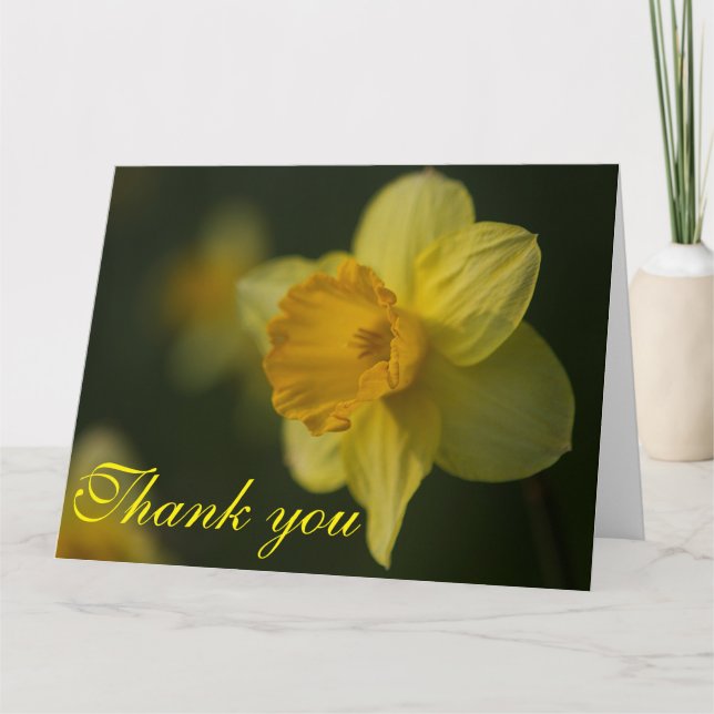 Daffodil Tack Kort (Framsida)