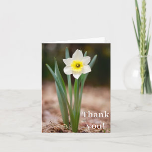 Daffodil "Tack"! Kort (ljus)