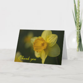 Daffodil, tackkort