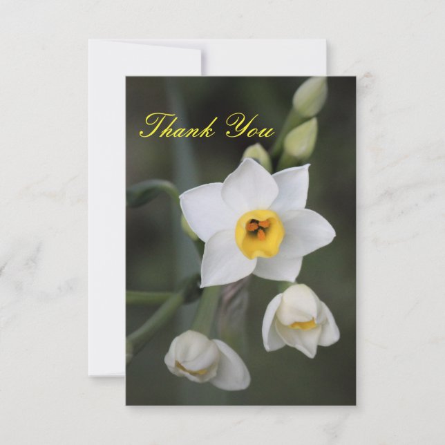 Daffodil, tackkort tack kort (Framsida)