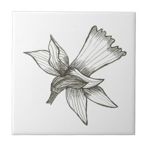 Daffodil Tile Kakelplatta