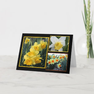 Daffodil Trio Kort