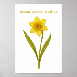 Daffodil - Unequaled kärlek, sunshine Poster