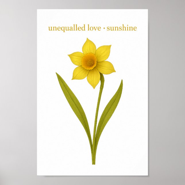 Daffodil - Unequaled kärlek, sunshine Poster (Framsidan)