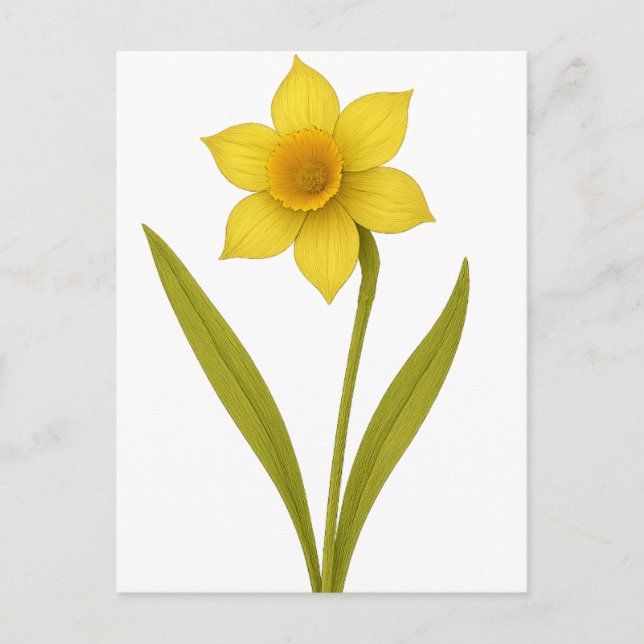 Daffodil - Unequaled kärlek, sunshine Vykort (Framsida)