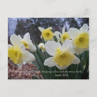 Daffodil-utskrift med Isaiah 30:15 Vykort