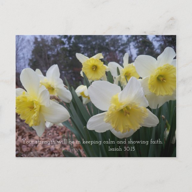 Daffodil-utskrift med Isaiah 30:15 Vykort (Framsida)