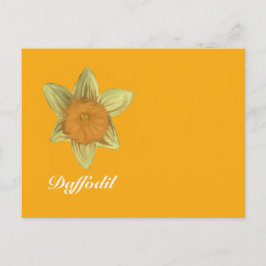 Daffodil Vågrät vykort Orange