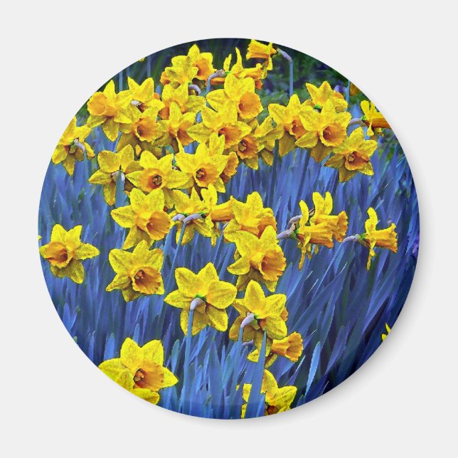 Daffodil Vår Fantasy Magnet (Framsidan)