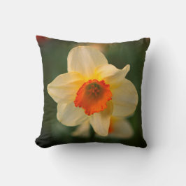 Daffodil Vår Flower Flora Dekorativ kudde