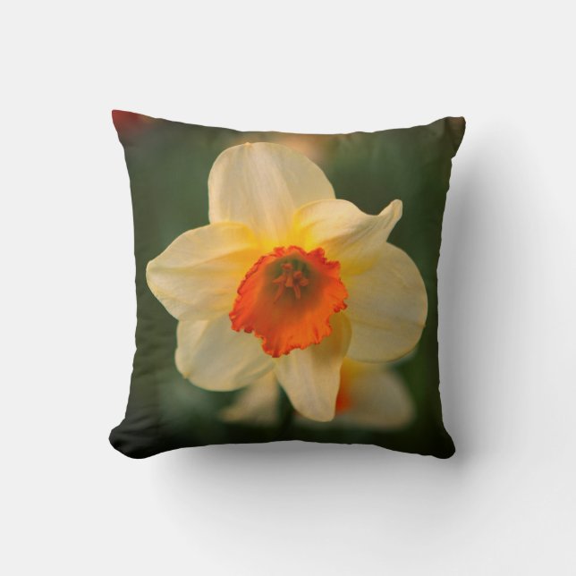 Daffodil Vår Flower Flora Dekorativ kudde (Framsida)