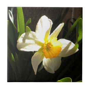 Daffodil vid Daybroke Tile Kakelplatta