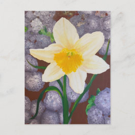Daffodil Vykort