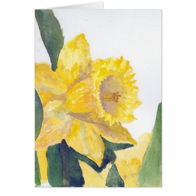 Daffodilkort Hälsningskort (Framsidan)