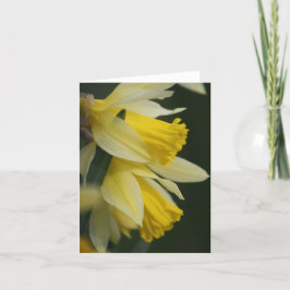 Daffodilkort Helgkort