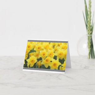 DAFFODILKORT KORT