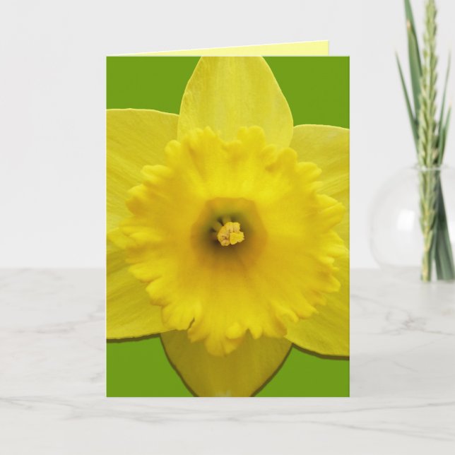 Daffodilkort Personlig Daffodilblommor Helgkort (Framsida)