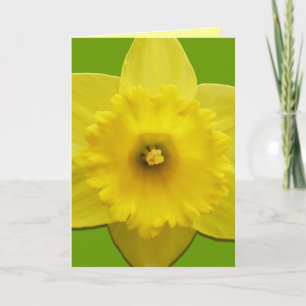 Daffodilkort Personlig Daffodilblommor Helgkort