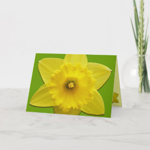 Daffodilkort Personlig Daffodilblommor Helgkort