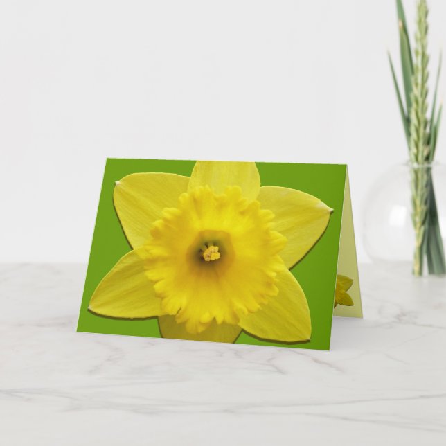 Daffodilkort Personlig Daffodilblommor Helgkort (Framsida)