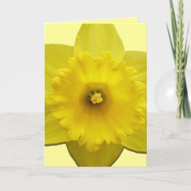 Daffodilkort Personlig Daffodilblomsterkort Helgkort (Framsida)