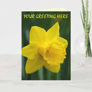 Daffodilkort Personlig Daffodilblomsterkort Helgkort