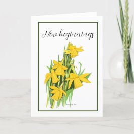 Daffodilkort Tack Kort