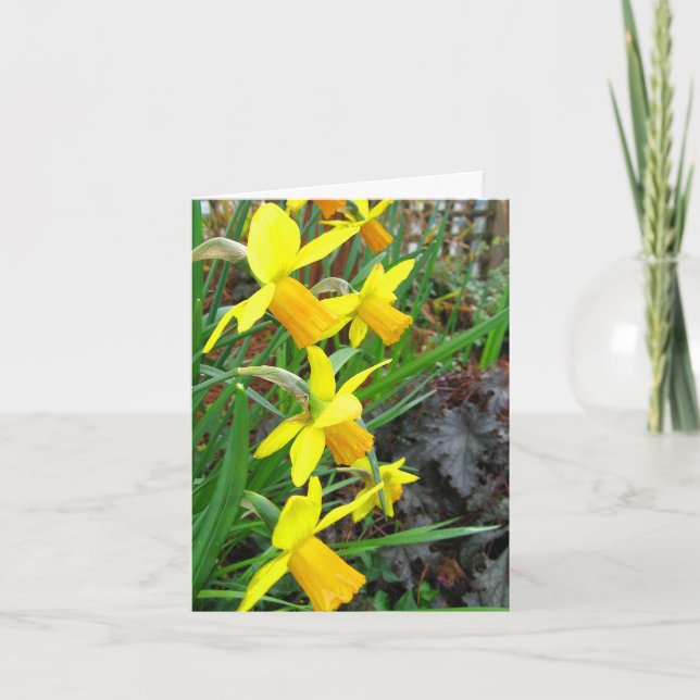 Daffodils and Birds Note Card Kort (Framsida)