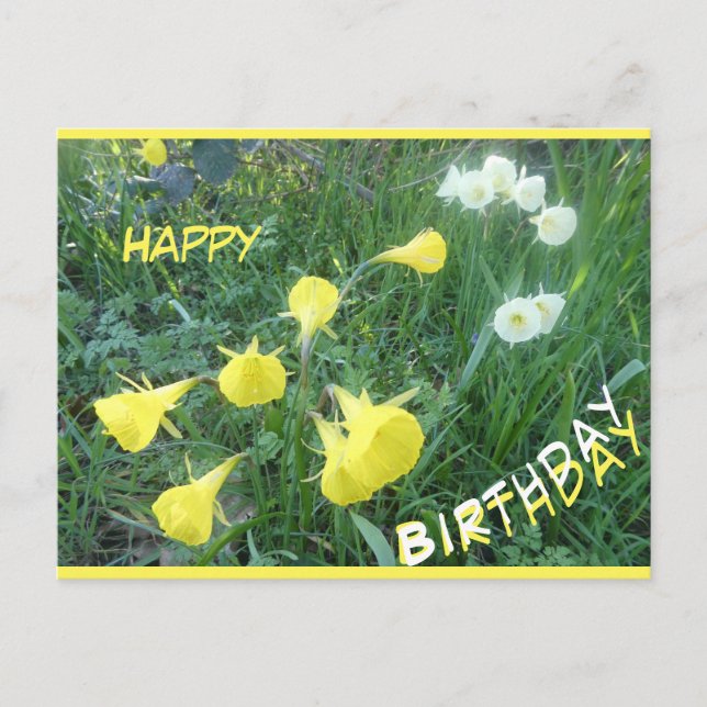 Daffodils Arctic Bells Happy Birthday Postcard Helg Vykort (Framsida)