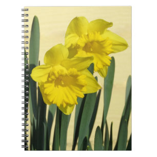 Daffodils - bärbar dator anteckningsbok