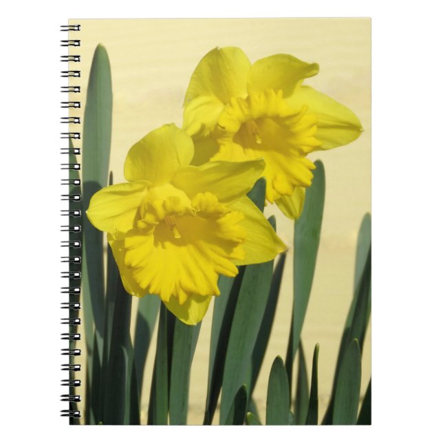 Daffodils - bärbar dator anteckningsbok (Framsidan)