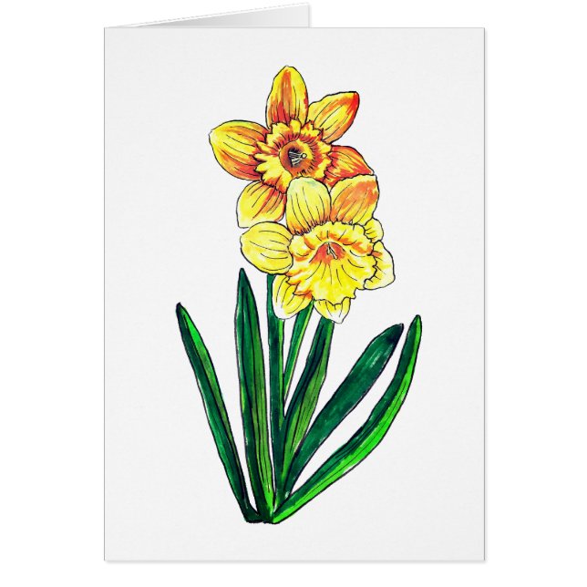 Daffodils Blank OBS Kort (Framsidan)
