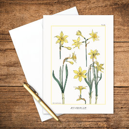 Daffodils Botanical of Maurice Verneuil Blank Kort