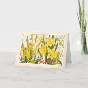 Daffodils, botaniskt kort - Anpassa Hälsning