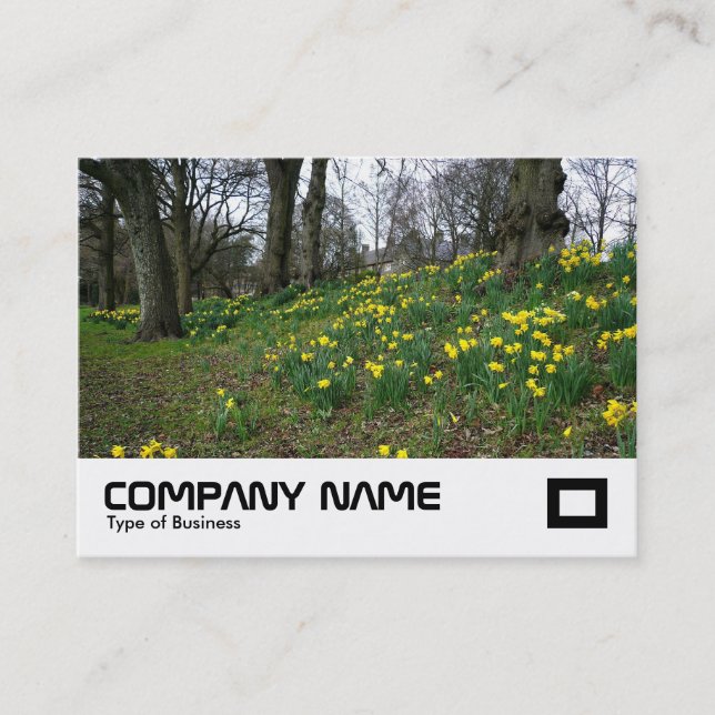Daffodils Bute Park, Cardiff Visitkort (Framsida)