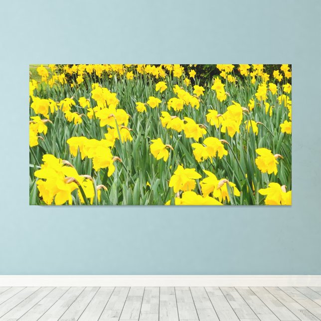 Daffodils Canvastryck (Insitu (trägolv))