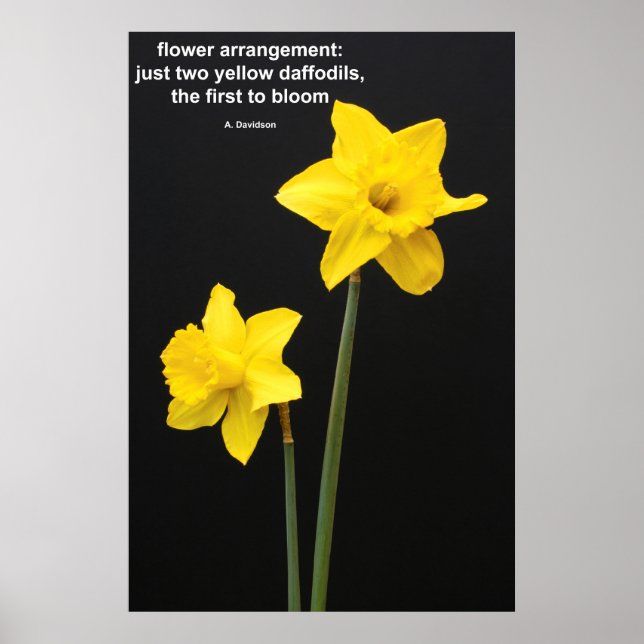 Daffodils Citat Poster (Framsidan)