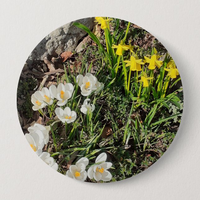 Daffodils & Crocus Badge Knapp (Framsida)