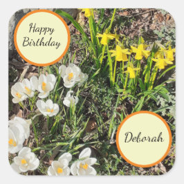 Daffodils & Crocus Birthday Fyrkantigt Klistermärke